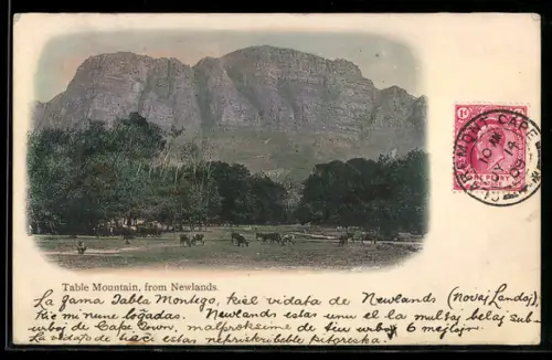 AK Newlands, Table Mountain