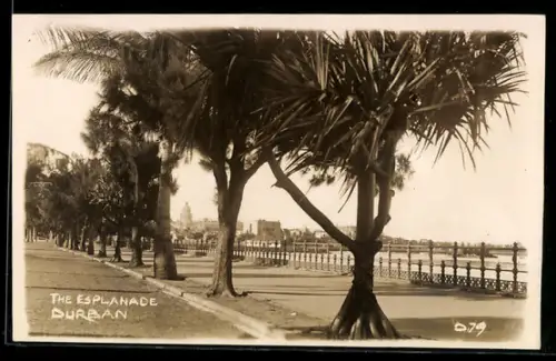 AK Durban, The Esplanade