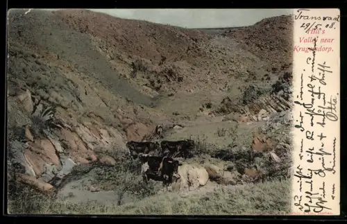 AK Krugersdrop, Hill`s Valley