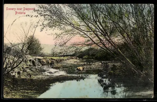 AK Pretoria, Daspoort, Scenery