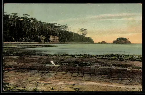 AK Eaglehawk, The Pavement