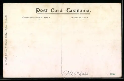 AK Eaglehawk, The Pavement