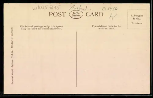 AK Sydney, University