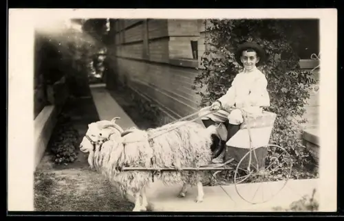 Foto-AK Lächelnder Junge in einer Ziegenkutsche
