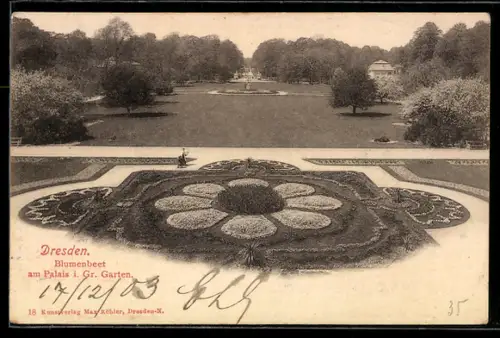 AK Dresden, Blumenbeet am Palais im Grossen Garten