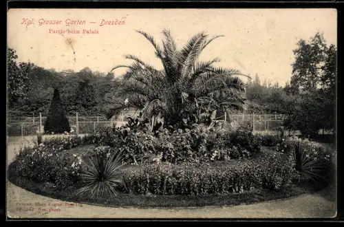 AK Dresden, Partie beim Palais im Kgl. Grossen Garten