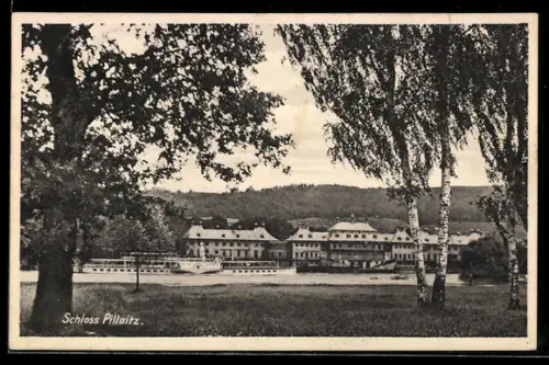 AK Pillnitz /Dresden, Schloss Pillnitz