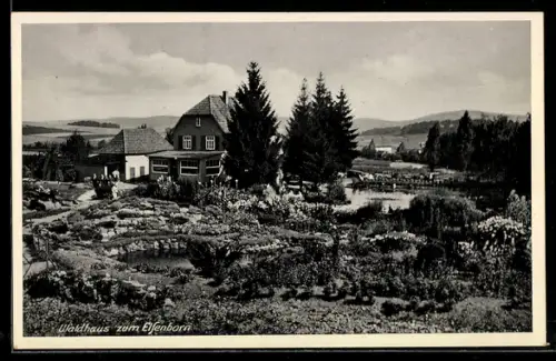 AK Varenholz b. Rinteln, Gasthaus zum Elfenborn, Bes. P. Matthes