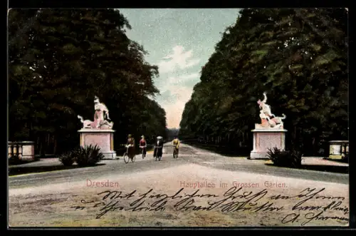 AK Dresden, Hauptallee im Grossen Garten