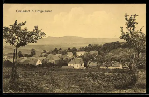 AK Carlsdorf b. Hofgeismar, Ortsansicht mit Wohnhäusern