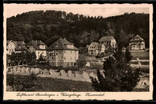 AK Steinbergen i. Wesergebirge, Blick zum Kurviertel