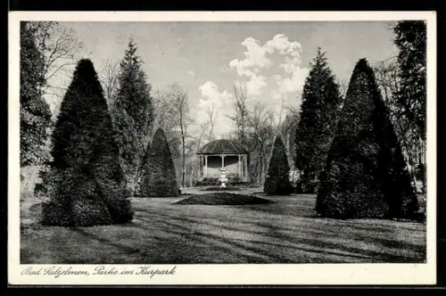 AK Bad Salzuflen, Partie im Kurpark, Pavillon