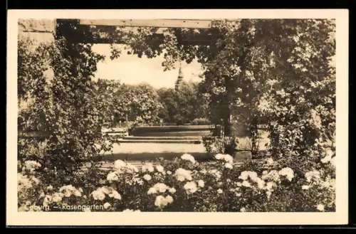 AK Coburg, Im Rosengarten, Blick zur Kirche