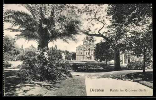AK Dresden, Palais im Grossen Garten