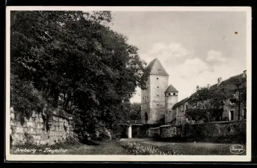 AK Amberg, Ziegeltor, Panorama mit Mauer