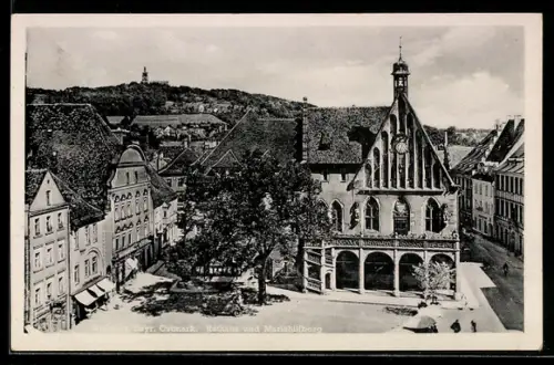 AK Amberg /Bay., Rathaus und Mariahilfberg aus der Vogelschau
