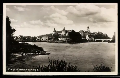 AK Neuburg a. D., Ortsansicht mit Schloss und Donau