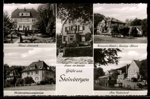 AK Steinbergen, Haus Sonneck, Krömer`s Hotel u. Kneipp-Haus, Bahnhof