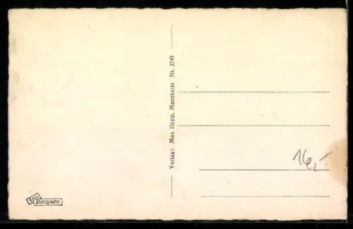 AK Mannheim, Rheinpartie