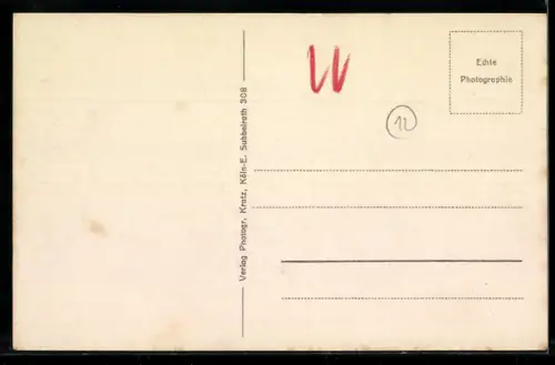 AK Mainz, Am Rhein, Dom, Schiffe