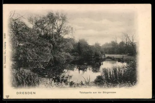 AK Dresden, Teichpartie aus der Bürgerwiese