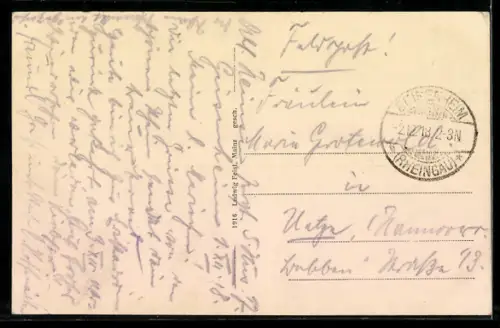 AK Geisenheim a. Rhein, Totalansicht