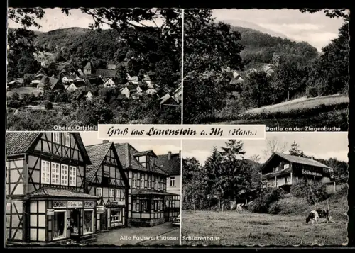 AK Lauenstein a. Ith, Oberer Ortsteil, alte Fachwerkhäuser, Schützenhaus, Partie an der Ziegenbuche