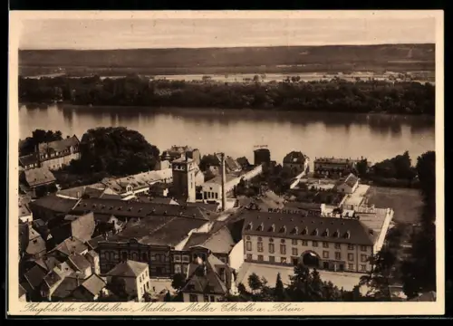 AK Eltville a. Rhein, Sektkellerei Matheus Müller, Rathaus, Rheinansicht