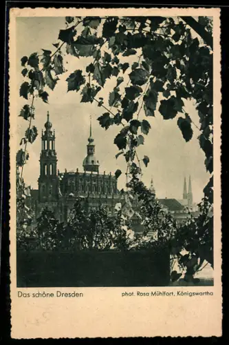 AK Dresden, Blick auf die Katholische Hofkirche