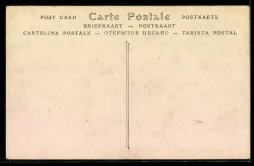 AK Cuisson d`une Diffa