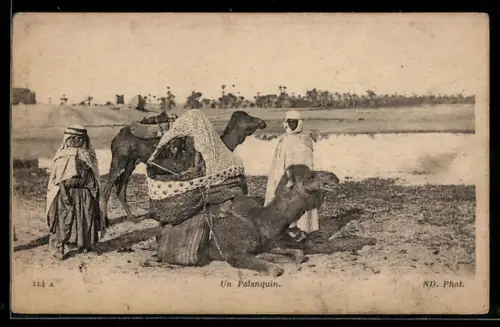 AK Un Palanquin, Chameau