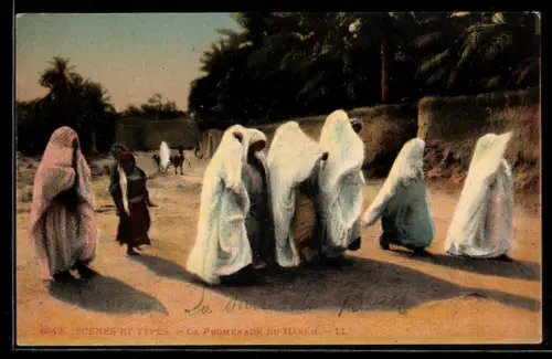 AK La Promenade du Harem, Scènes et Types