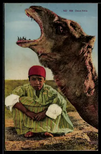 AK Arabischer Junge und Kamel, arabische Volkstypen