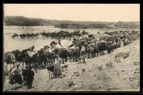 AK Caravane en marche du Caid Ben Ganah, arabische Volkstypen