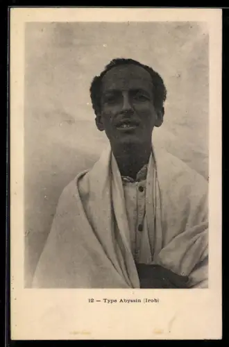 AK Portrait d`un Abyssin