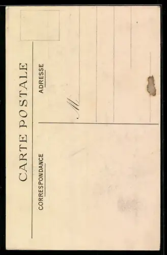 AK Portrait d`un Abyssin