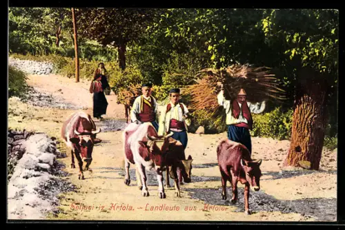 AK Krtole, Landleute in Tracht, Kühe, Reisigbündel