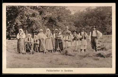AK Serbien, Feldarbeiter mit Rechen, mit Soldat, Gruppenfoto