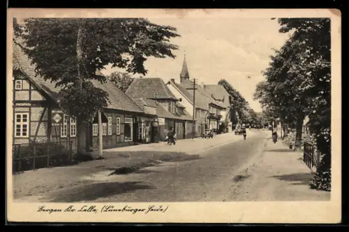 AK Bergen b. Celle, Ortsansicht mit Strassenpartie