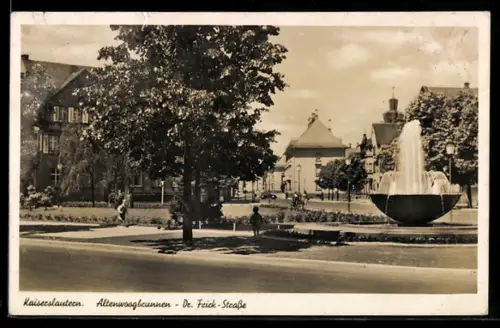 AK Kaiserslautern, Altenwoogbrunnen, Dr.-Frick-Strasse