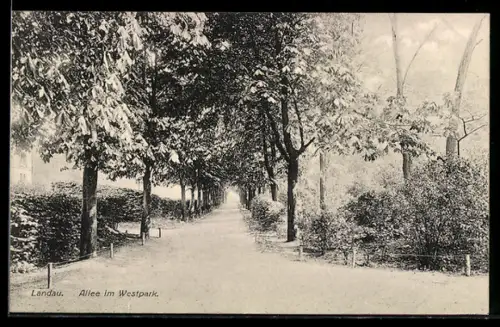AK Landau, Allee im Westpark