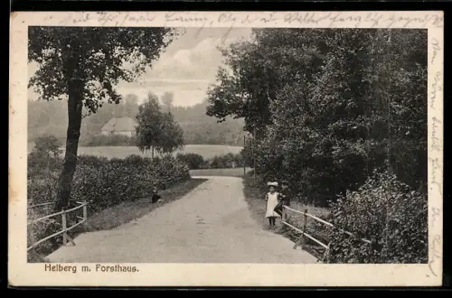 AK Büchen /Lbg., Helberg mit Forsthaus