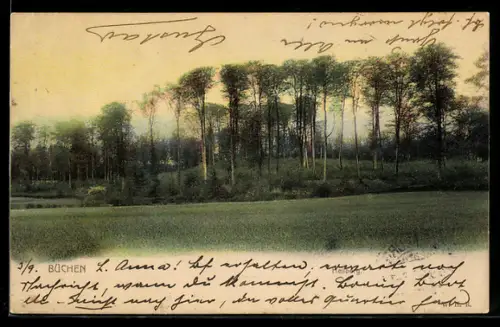 AK Büchen, Hellberg, Panorama