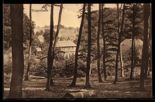 AK Tesperhude, Blick auf Häuser im Wald