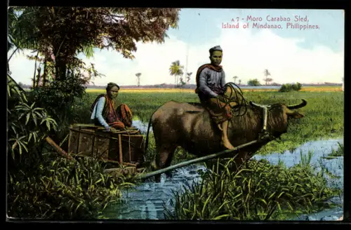 AK Mindanao, Moro Carabao Sled, Ochsengespann