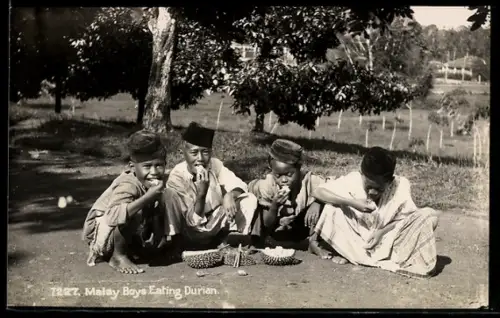 AK Malay Boys Eating Durian, asiatische Volkstypen