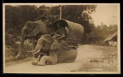 AK Asiate mit zwei Elefanten, asiatische Volkstypen