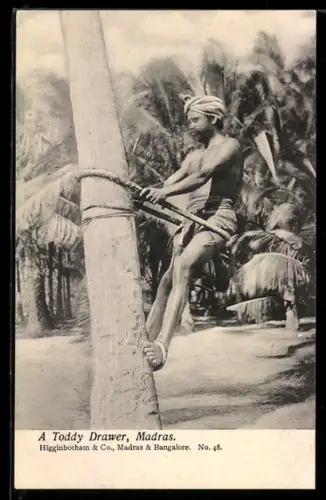 AK Madras, A Toddy Drawer