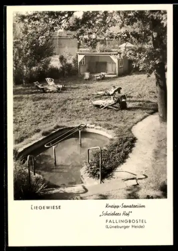 AK Fallingbostel /Lüneburger Heide, Kneipp-Sanatorium Schriebers Hof, Liegewiese