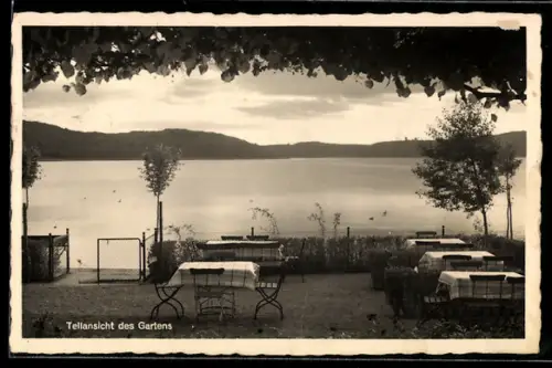 AK Ratzeburg /Lbg., Gaststätte Seegarten, Teilansicht des Gartens, Küchensee